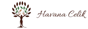 Havana Çelik